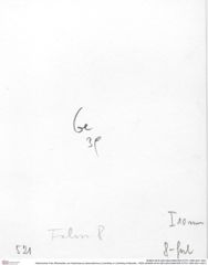 Historisches Foto (Rückseite) von Gastrosacus tuberosiformus (Lörenthey in Lörenthey & Beurlen, 1929) (NHMW-AFW-GEO-BACHMAYER-FOTO-1990-0041-0521)